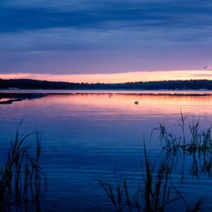 A beautiful sunset with the colours blue, purple, and pink on the horizon of a river within Grassy Narrows territory