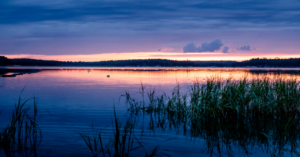 A beautiful sunset on a marshy body of water with deep pinks and purple colours in the sky and reflecting on the water