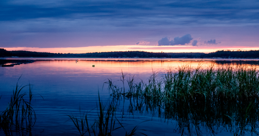 Un magnifique coucher de soleil sur une étendue d'eau marécageuse avec des couleurs roses et violettes profondes dans le ciel et se reflétant sur l'eau.