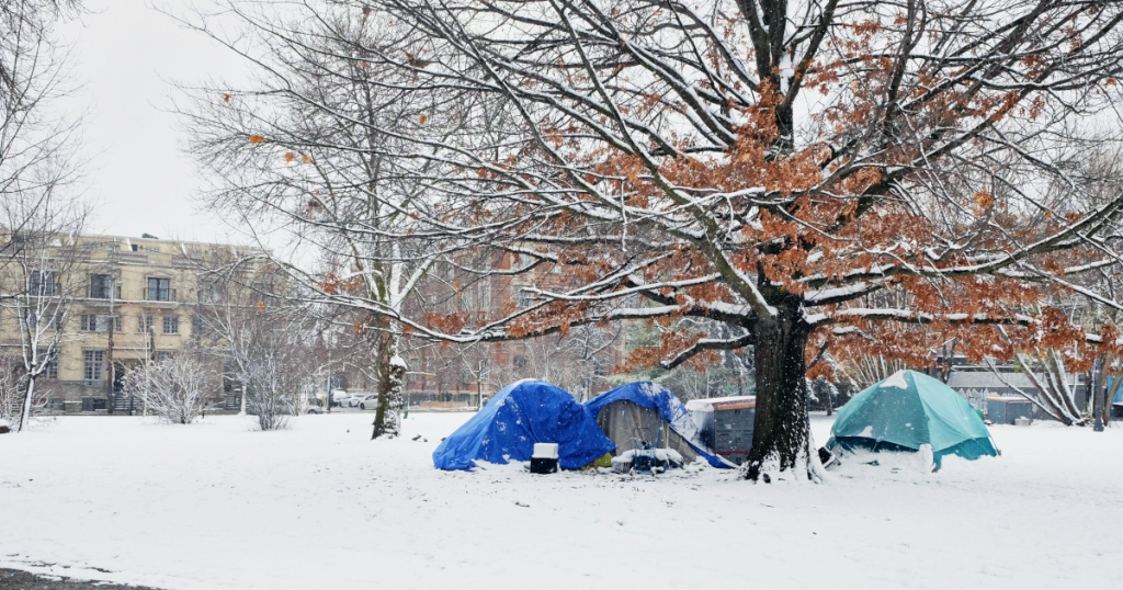 A park in the winter with three tents circling around a tall tree with sparse brown leaves 