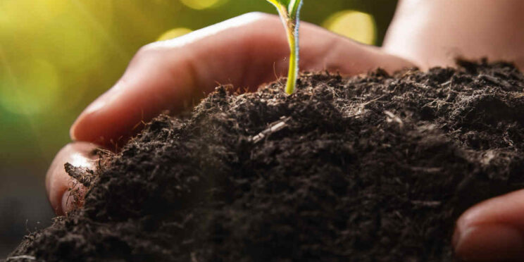 Cover of report showing a xclose up of person's hands planting a seedling and text that says: "The Law Foundation of Ontario, 2023 Annual Report, Deeply Invested"