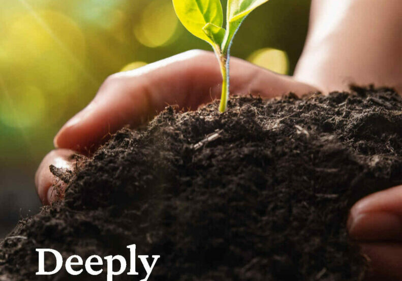 Cover of report showing a xclose up of person's hands planting a seedling and text that says: "The Law Foundation of Ontario, 2023 Annual Report, Deeply Invested"